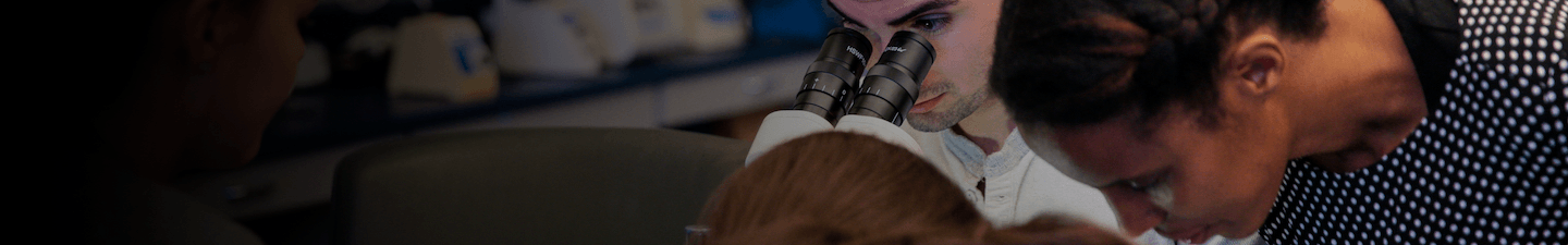 Undergraduate Students Working in Lab