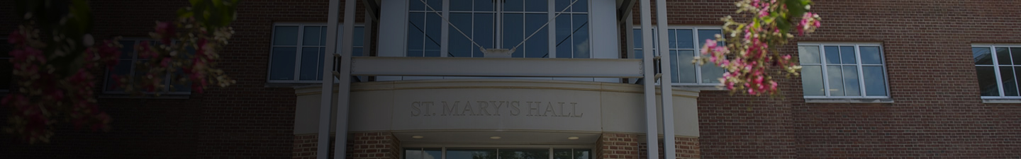 Georgetown Medical Center: School of Nursing and Health Studies