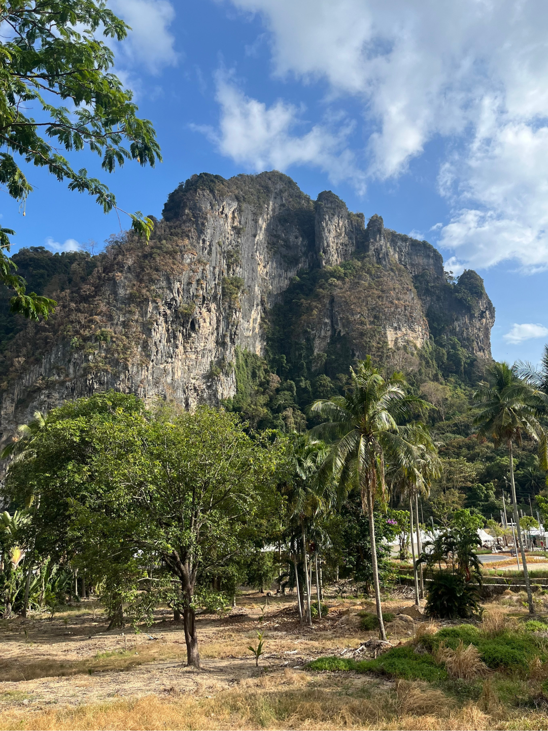 A mountainous area in Thailand’s southern province of Krabi. Photo courtesy of Caitlin Gauvin.