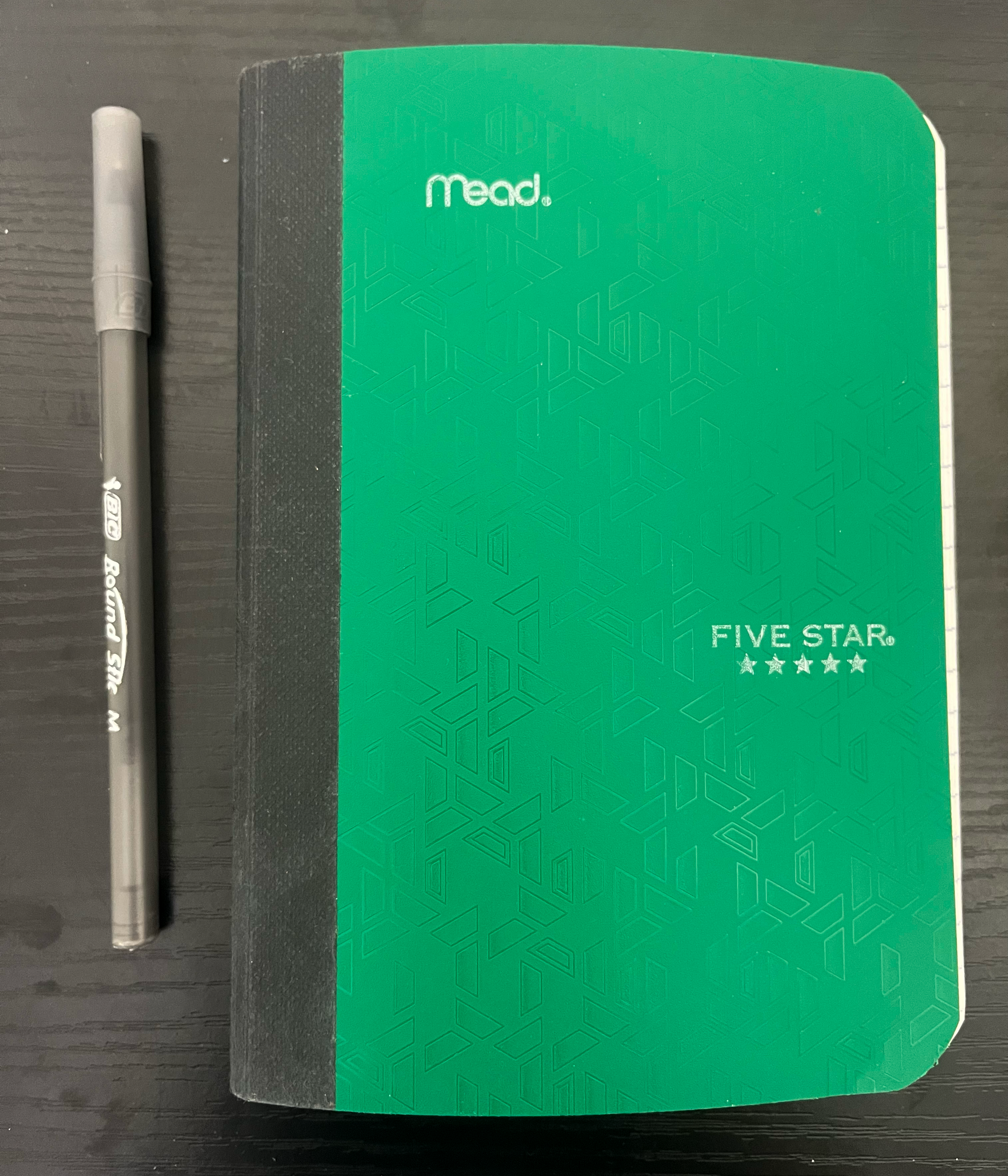 Saleem’s green notebook used to record interviews and observations.