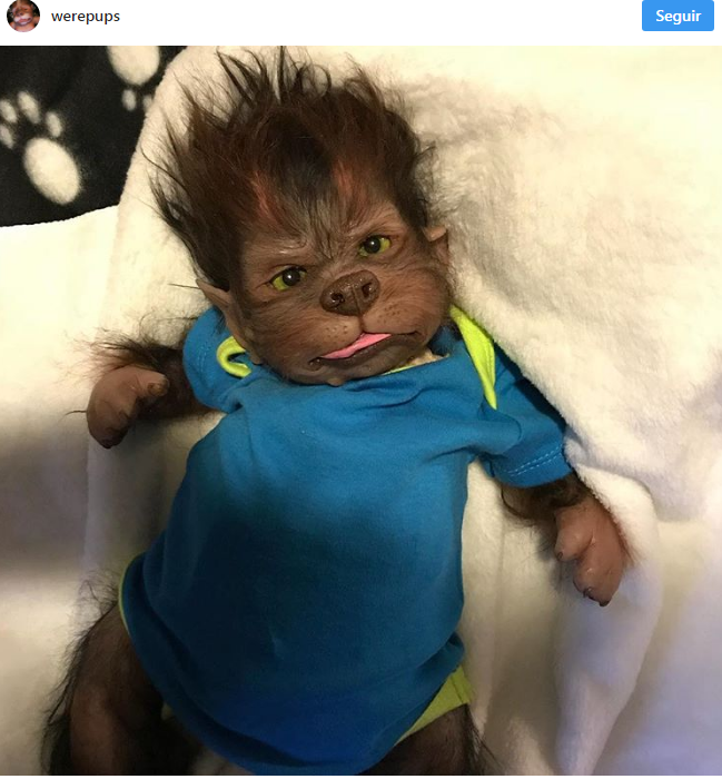 bebes lobos muñecos