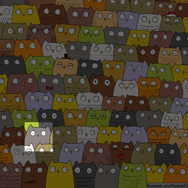 ¿Ves al gato escondido entre los búhos? Tienes 7 segundos para