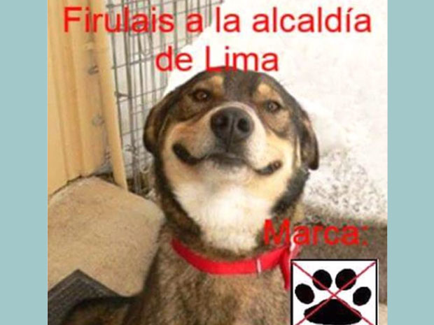 elpopular.pe elpopular.pe