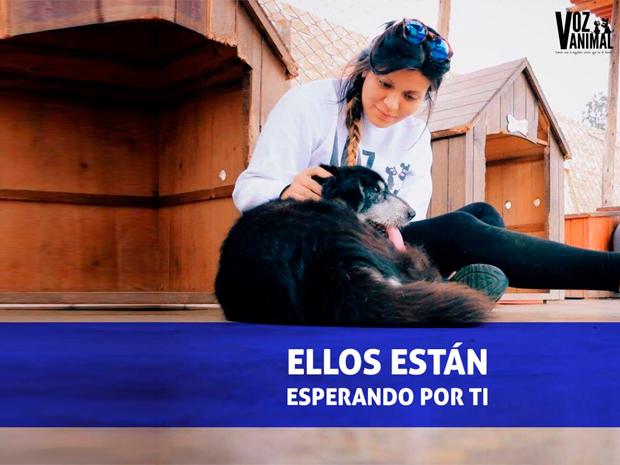 elpopular.pe elpopular.pe