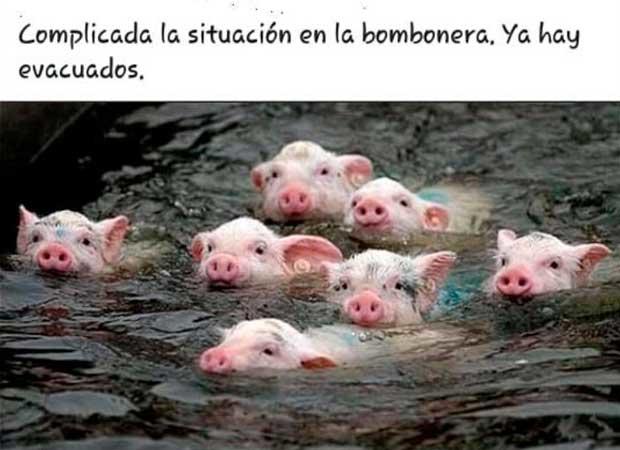 elpopular.pe