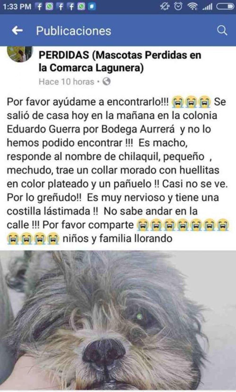 elpopular.pe