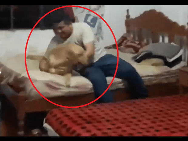 PNP Miranda se reencuentra con su perro PNP Miranda se reencuentra con su perro