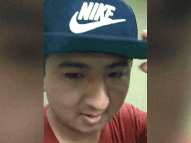 Resultado de imagen para tapir 590