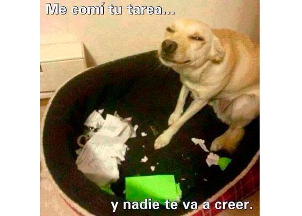 elpopular.pe