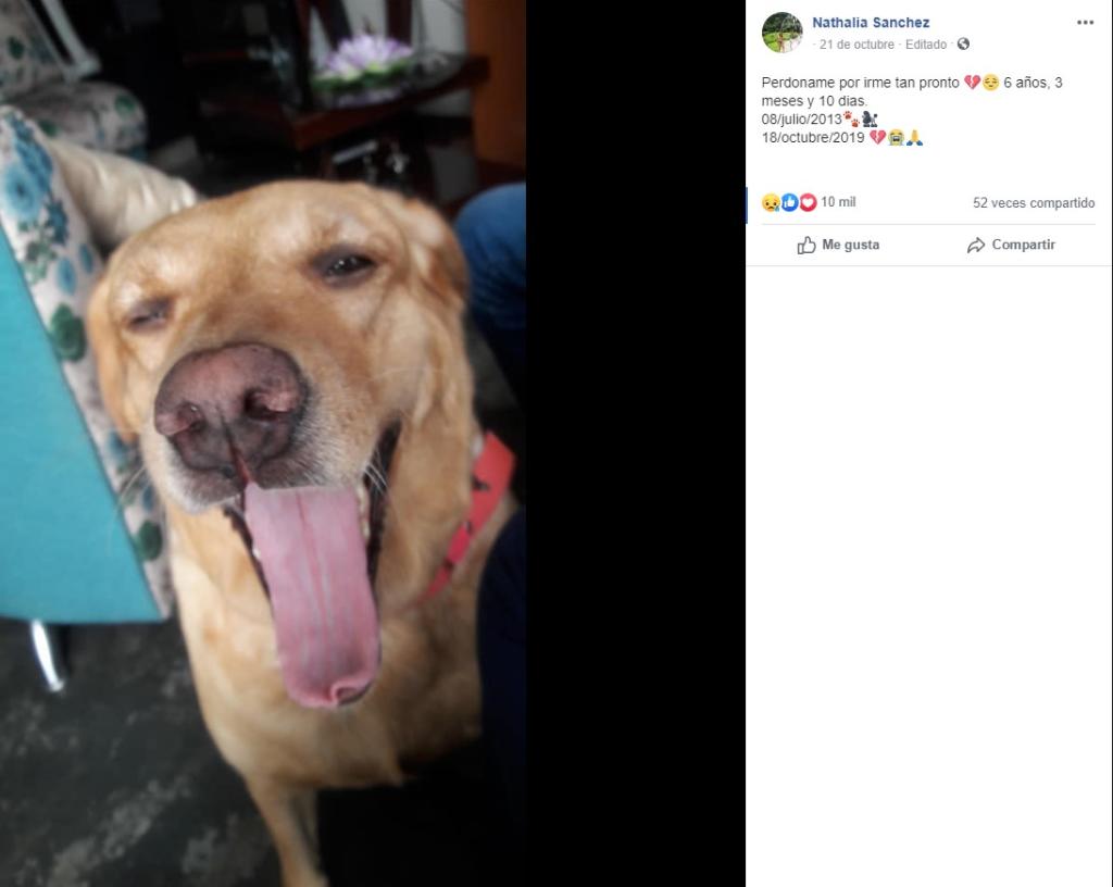 elpopular.pe