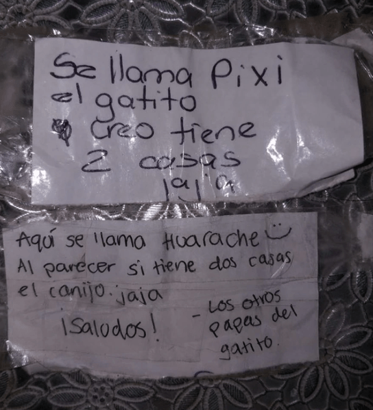 elpopular.pe