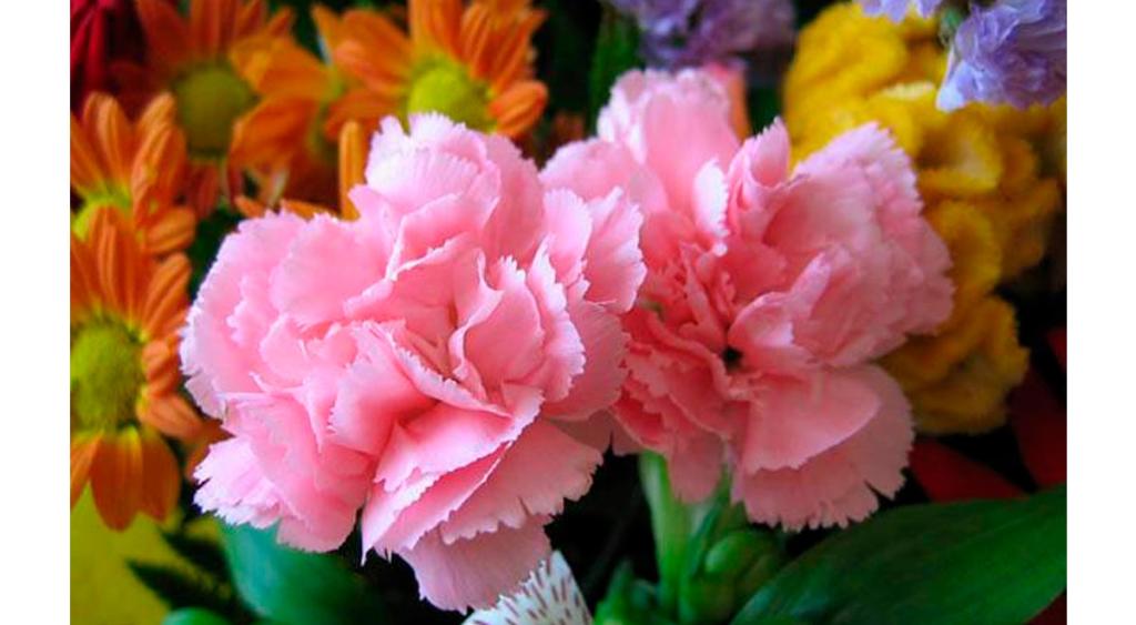 elpopular.pe elpopular.pe