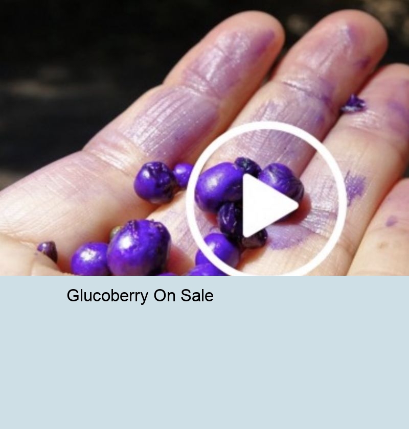 Glucoberry Fact Check