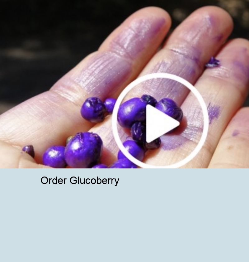 Is Glucoberry Legit