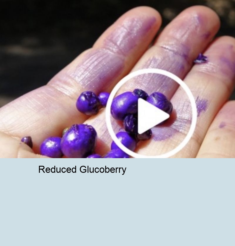Glucoberry Reviews Negative