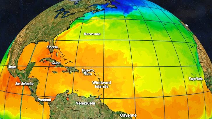 Tropics Watch Sea Temperature