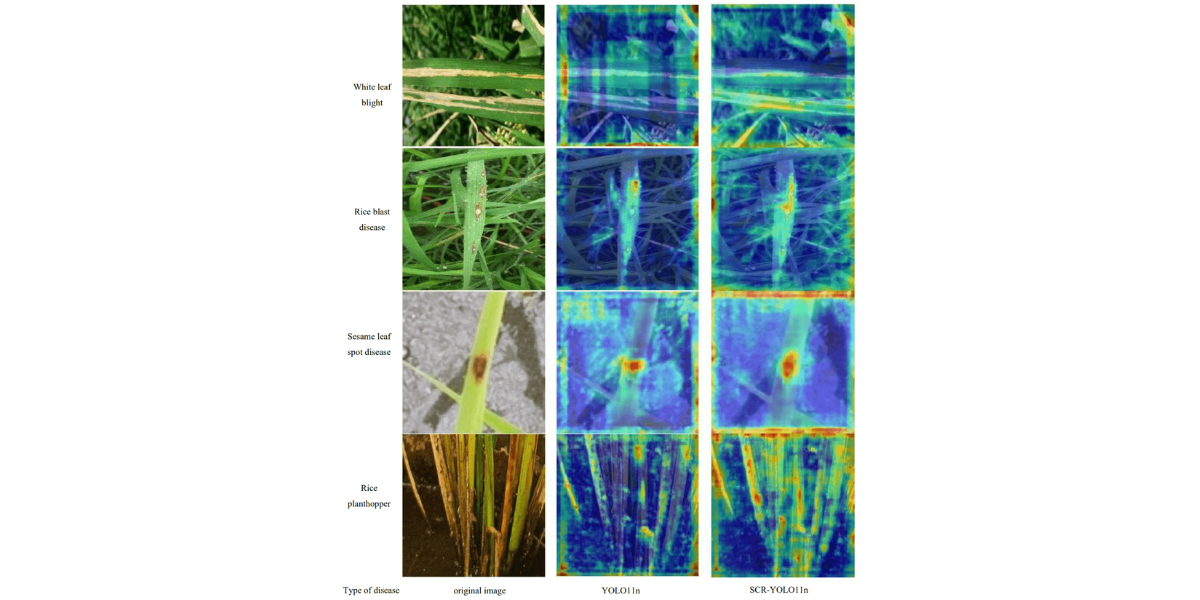 Heat map of model detection effect before and after improvement