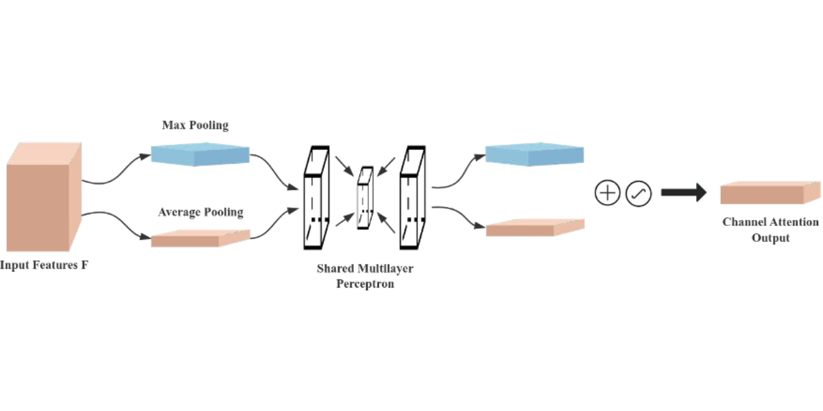 Schematic diagram of the channel attention module