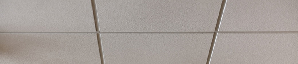 381_694_acoustical_ceilings.jpg