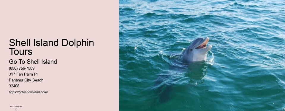 Shell Island Dolphin Tours
