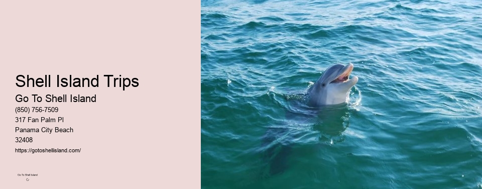 Shell Island Trips