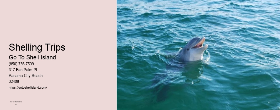 Shelling Trips