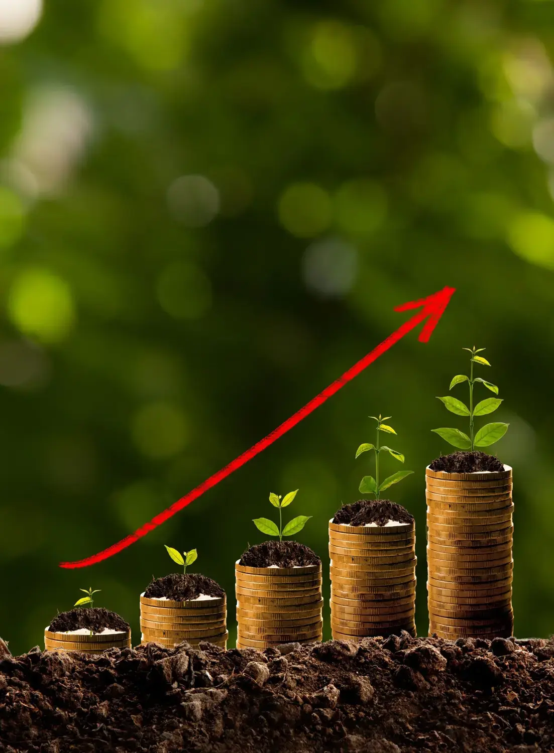 Quarter stacks in increasing height symbolizing financial growth in small businesses.