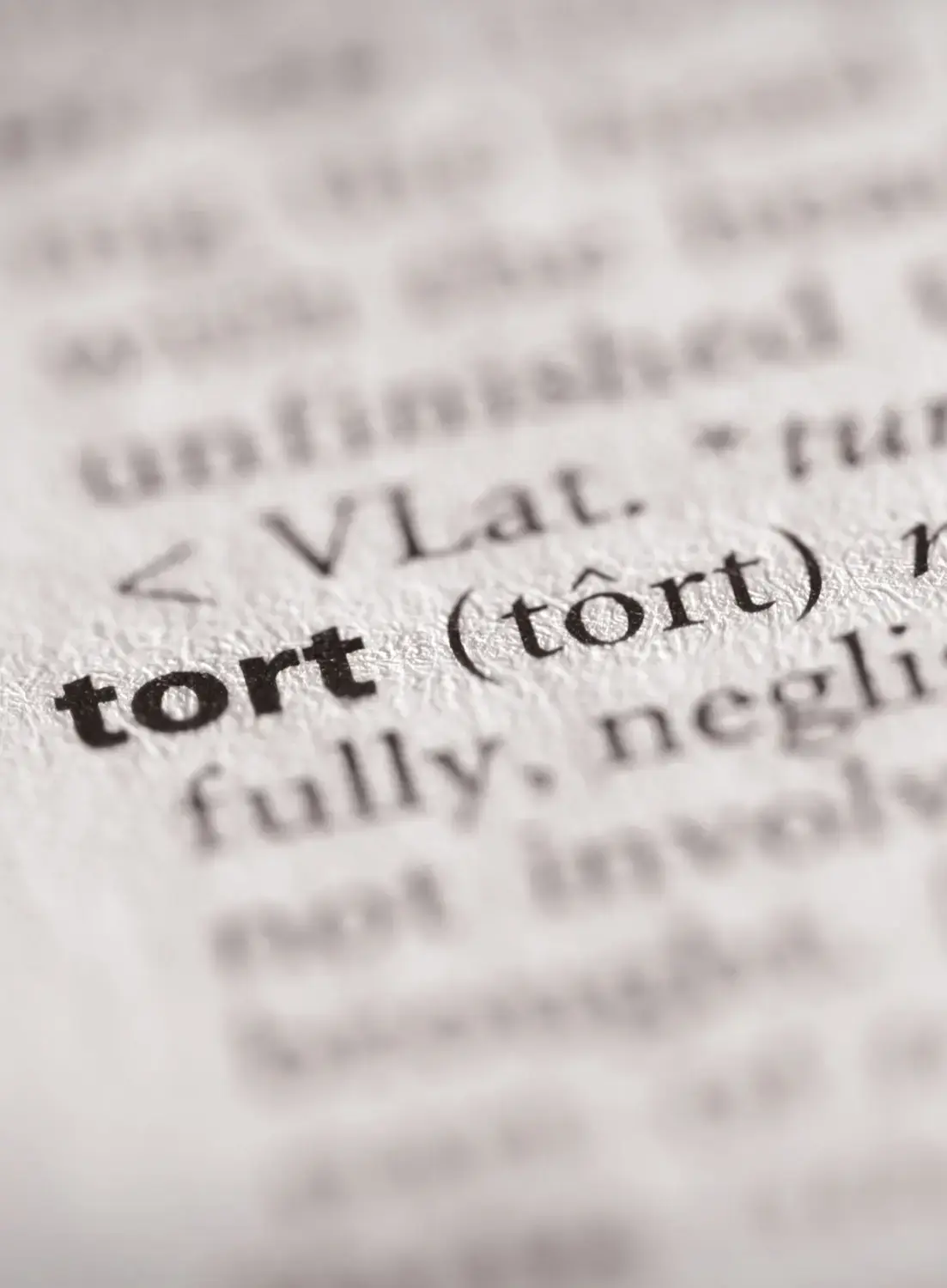 Dictionary page with the definition of 