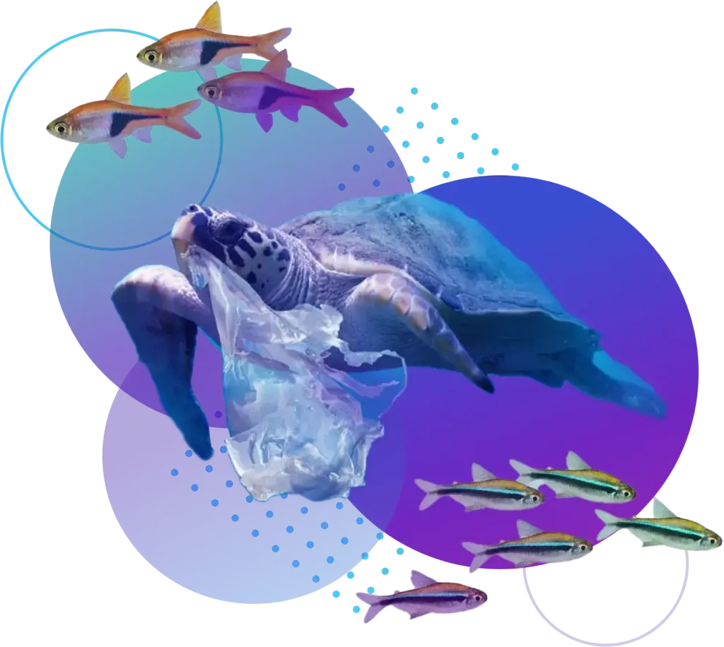 Collage of sea animals and plastic in the ocean
