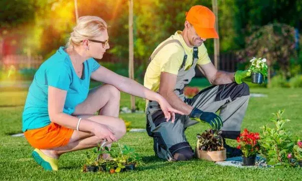 Landscapers working on a lawn, performing maintenance and beautification tasks to enhance the outdoor space.