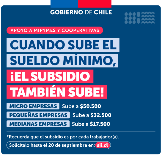 Montos del subsidio al sueldo mínimo mensual.