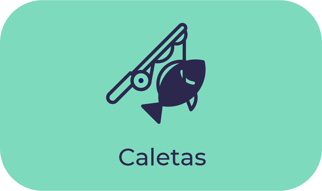 protocolo caleta de pescadores