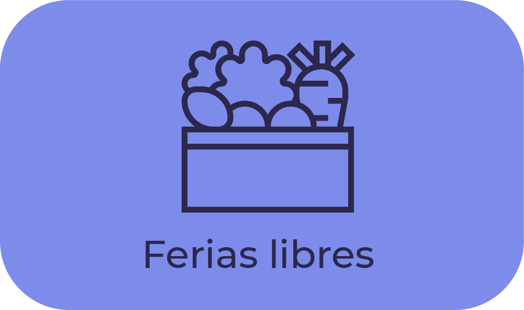 protocolo ferias libres y navideñas