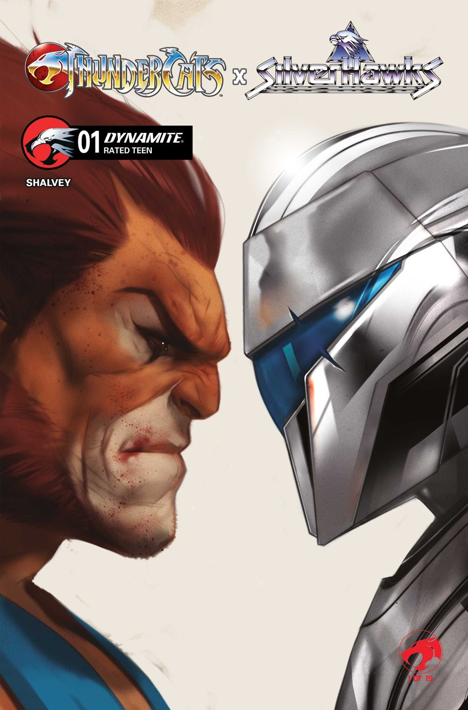 ThunderCats x SilverHawks #1 (Cover D Ben Oliver)(find on eBay)