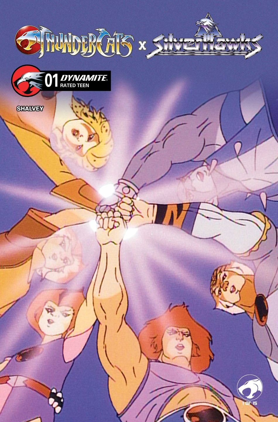 ThunderCats x SilverHawks #1 (Cover E Animation Art Variant)(find on eBay)