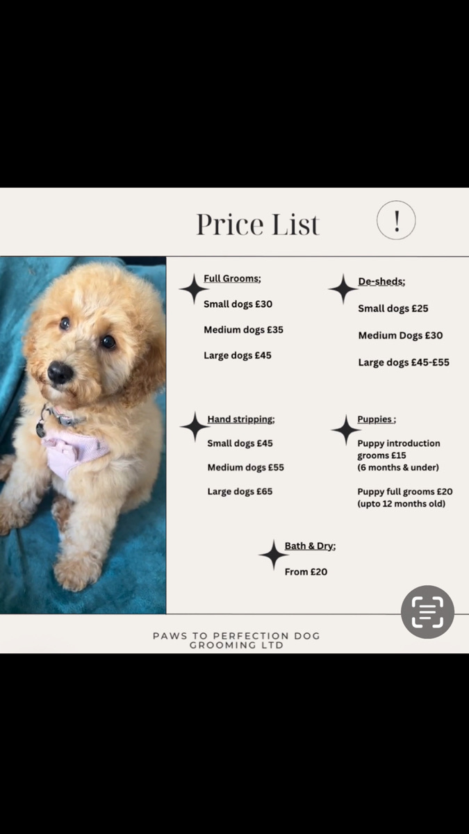 Paws To Perfection Dog... Book Your Appointment Online Now