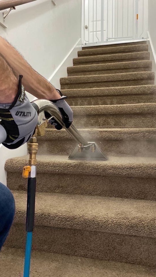 Supreme Carpet Cleaning Book Your Appointment Online Now