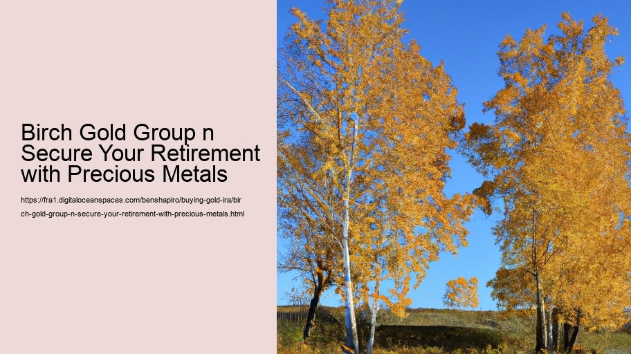 Birch Gold Group n Secure Your Retirement with Precious Metals