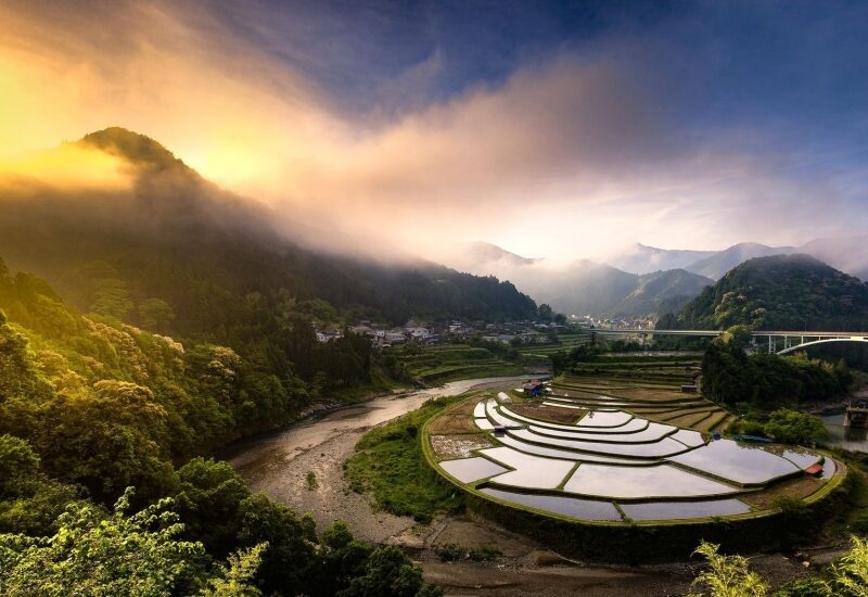 Old vs new: rice paddy next to highway: Uranus in Taurus with Jupiter-Saturn in Aquarius. Courtesy of Wallup.net
