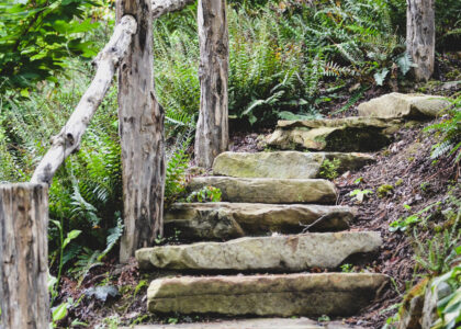 Step by Step, the Capricorn Way by Debby Hudson