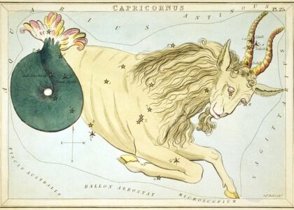 Capricornus the Seagoat