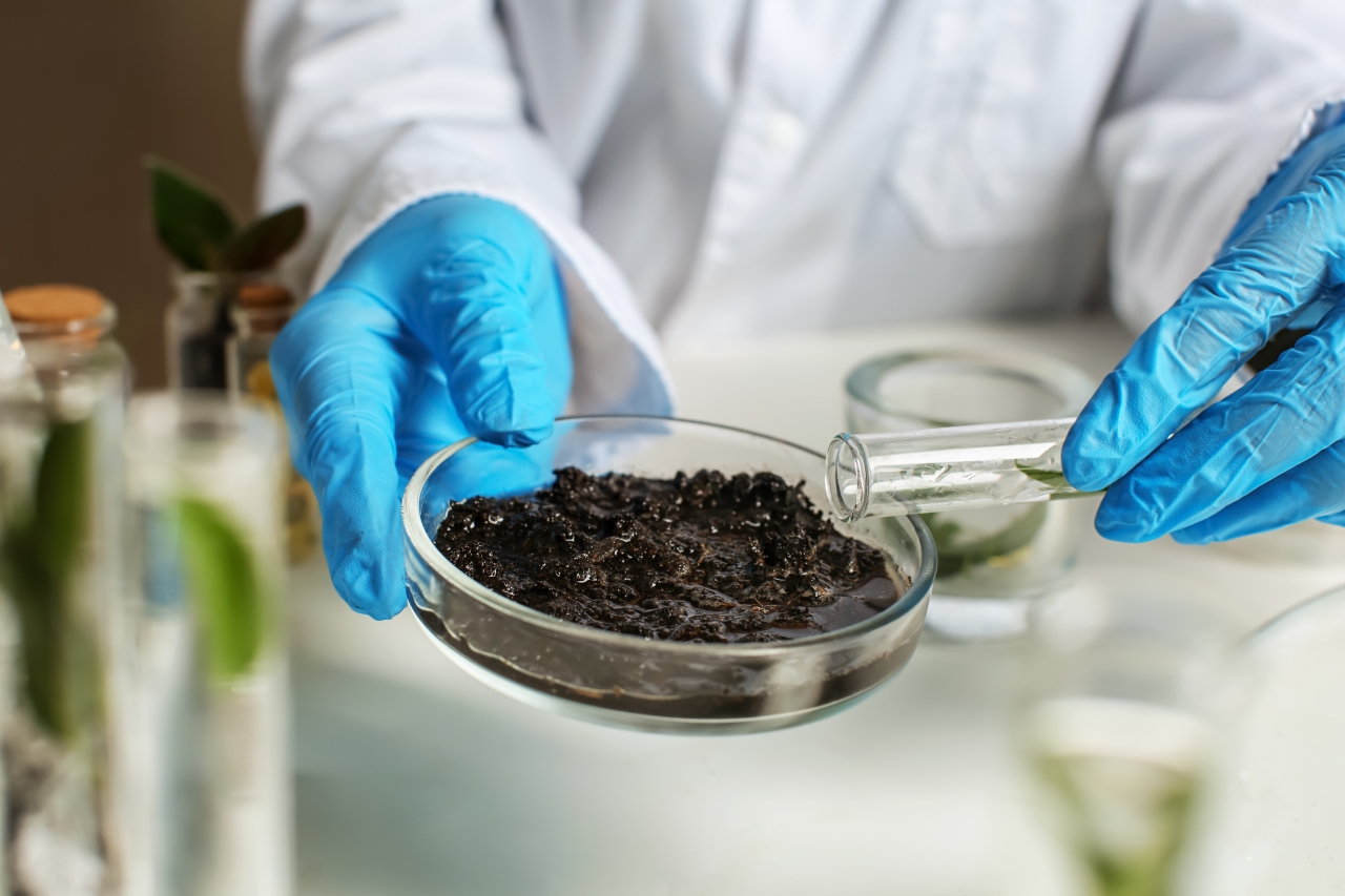 How Climate Change Is Affecting Soil Microbiomes