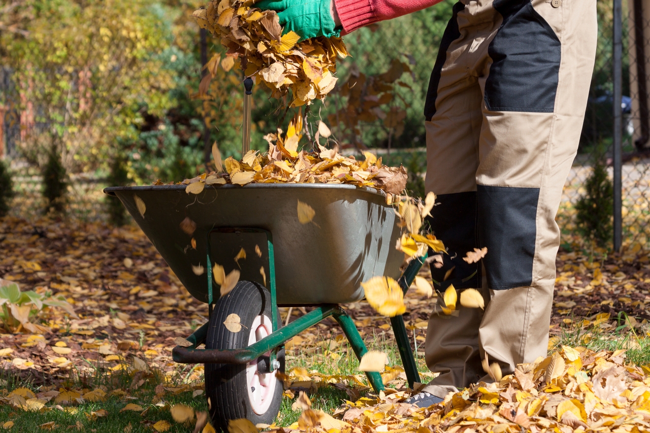 Our Comprehensive Seasonal Guide to Yard Cleanup