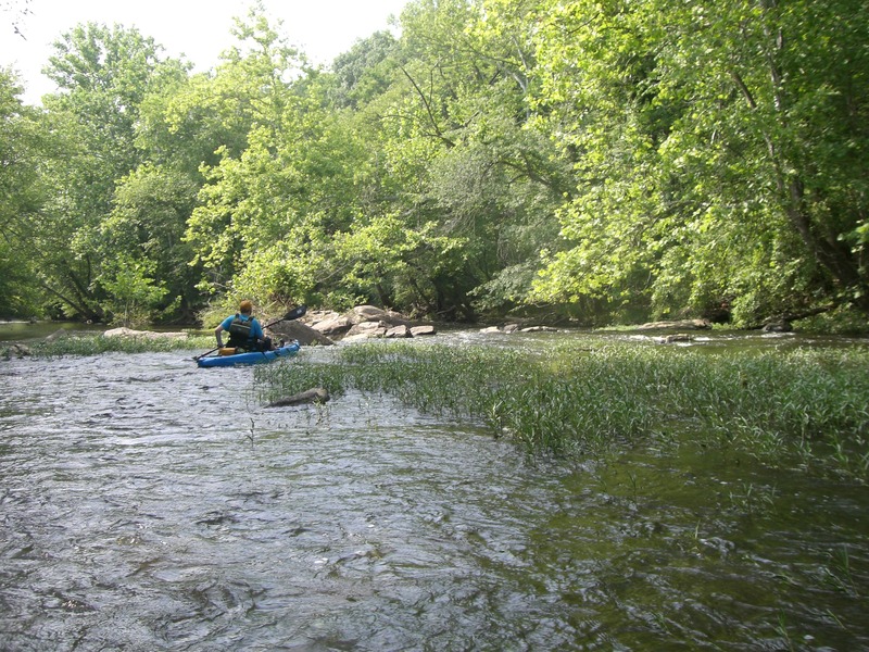 South Anna River - Alchetron, The Free Social Encyclopedia
