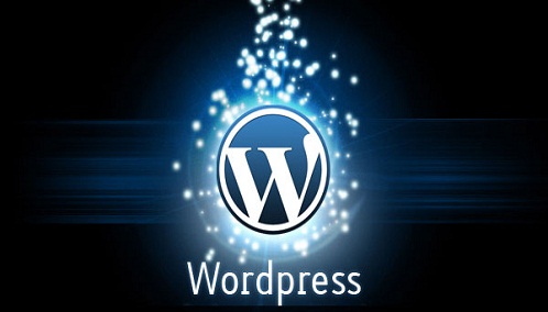 WordPress Customization