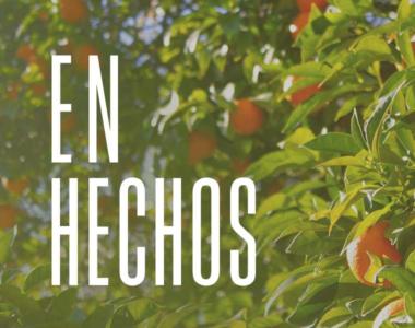 ¿Qué Hará Dios a Través de su Obediencia?