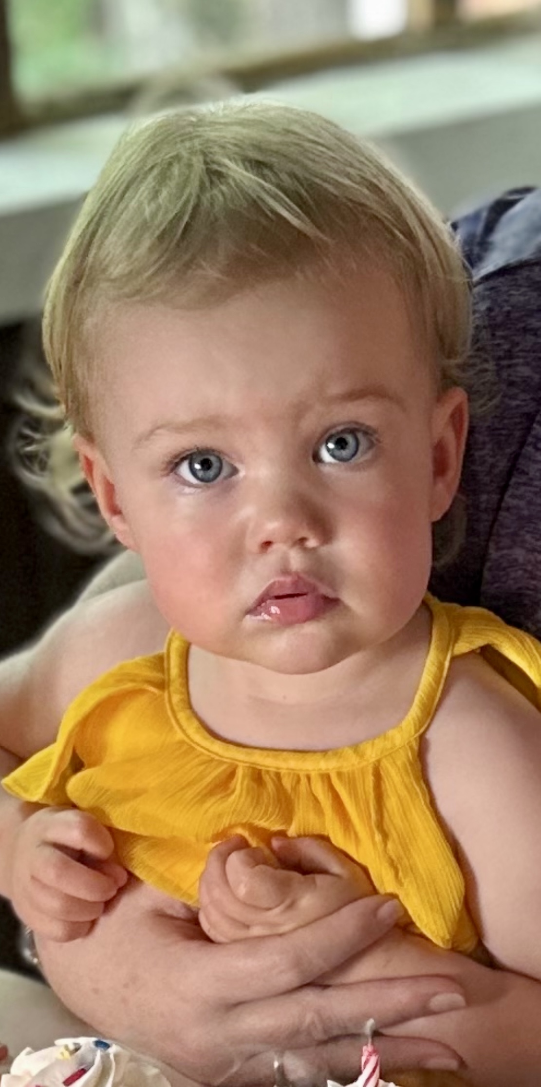 CUTE AS A BUTTON PHOTO CONTEST Mushroom Festival