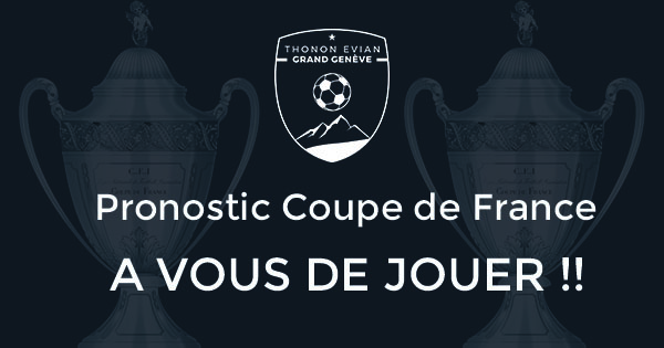 Thonon Evian Grand Genève Football Club - 
