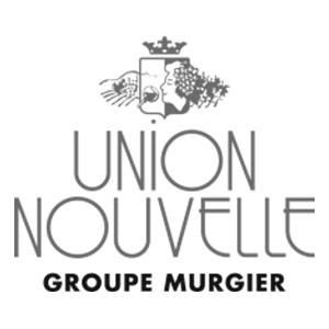 Thonon Evian Grand Genève Football Club - 