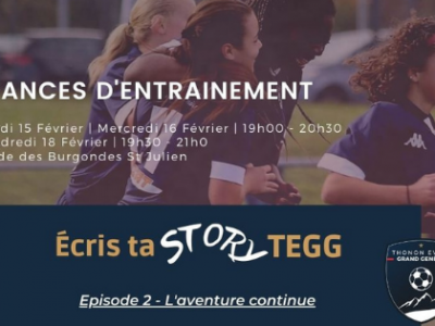Thonon Evian Grand Genève Football Club -